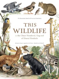 wildlife coloring book